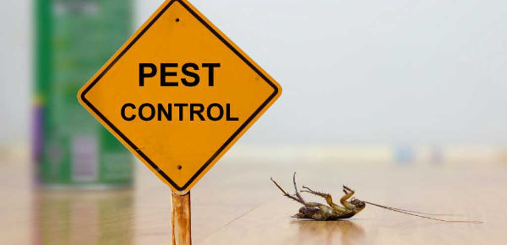 pest exterminator