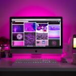 web development