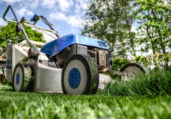weed control in Regina