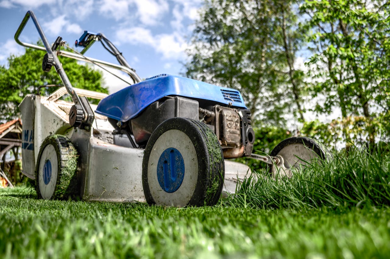 weed control in Regina